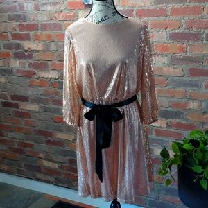 Rose gold sequin dress.